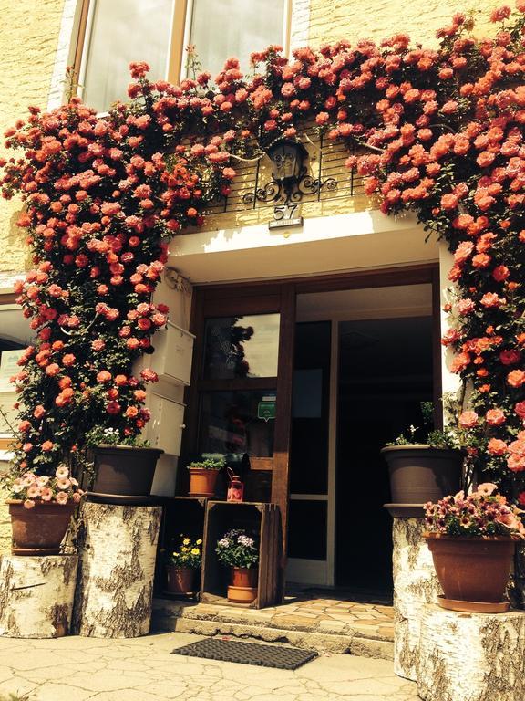 Pension Hoerfarter Fieberbrunn Exterior foto